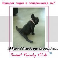 Sweet Family Club Дніпро фото