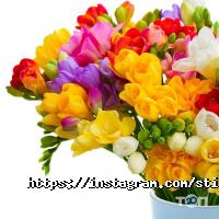 Товари для дому Стильна штучка фото