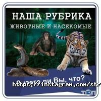 отзывы о СТРАНА УМЕЛЬЦЕВ фото