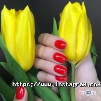 New Tone відгуки фото