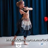 Tribal Pro отзывы фото