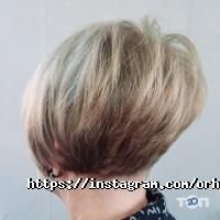 Orhidea Харків фото