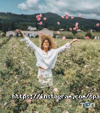 Sparkle Travel відгуки фото