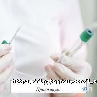 L estet group відгуки фото