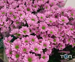 Flowers-Shop.com.ua, доставка квітів фото