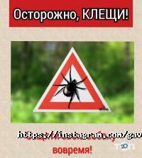 Гав Персона, зоосалон фото