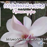 Йога Li Дэя фото