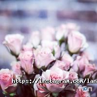 Langhouse Харків фото