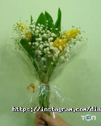 Оформление зала, доставка цветов Dianthus фото