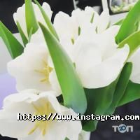 Fidji_studio відгуки фото