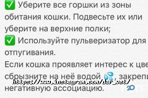 отзывы о Дар фото