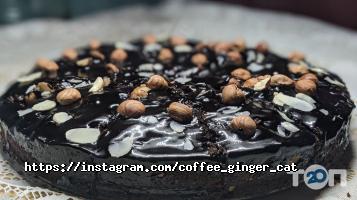 Імбирний кіт Київ фото