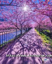 Грейс Луцьк фото