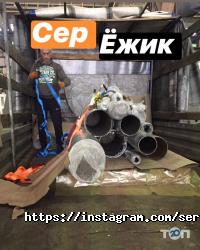 Сер Їжачок Дніпро фото