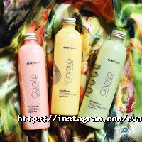 Selena Київ фото