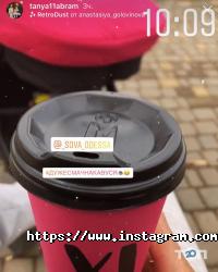 Сова Одеса фото