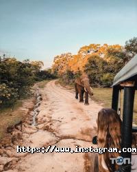 відгуки про 23 travel фото