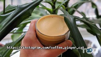 Імбирний кіт відгуки фото