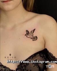 Тату салоны KrigoTattoo фото