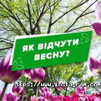 Делві відгуки фото