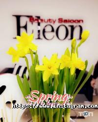 Beauty Salon Eleon, салон краси фото