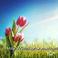 Контакт-центр Контактис фото