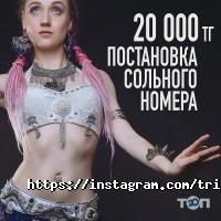 Школы танцев Tribal Pro фото