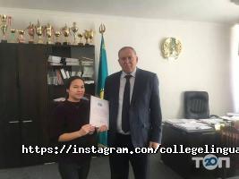 отзывы о Лингва фото