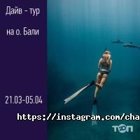 відгуки про Чайка фото