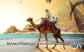 Туристические агентства, экскурсии Бармалей фото