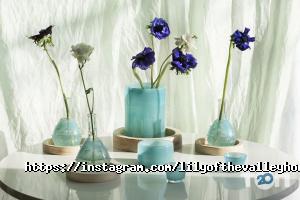 відгуки про Lily of the Valley Home фото
