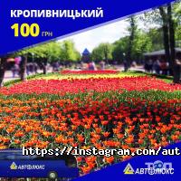 отзывы о Автолюкс фото