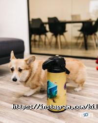 Кав'ярні та кондитерські Біла стріла фото