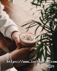 Stable cup відгуки фото