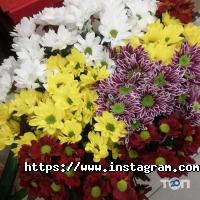 Квіткова Галерея, магазин квітів фото