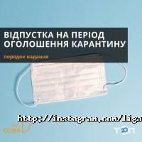 Ліга Сова Кривий Ріг фото