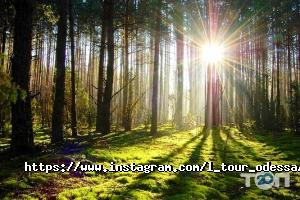 Л-Тур Одеса Одеса фото