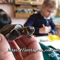 Творческая мастерская ДА Винчи фото