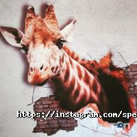 Spectrbud Харків фото