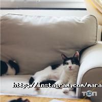 відгуки про Марафет фото