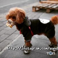 Wanderlust Одеса фото