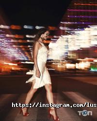 Курси, тренінги Lustre фото