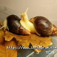 відгуки про Європа фото