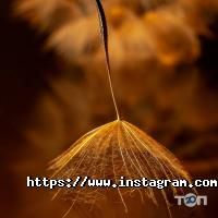 Фотограф Володимир Ковалюк Луцьк фото