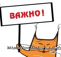 Салони краси BroVi фото