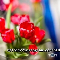 Пабы и пивные заведения Старик Хэм фото