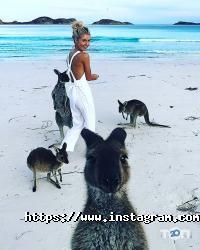 Tavor Travel Тернопіль фото