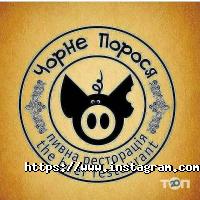 Паби та пивні заклади Чорне порося фото