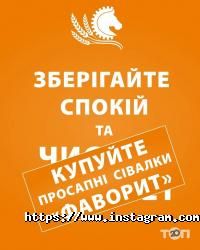 отзывы о Фаворит фото