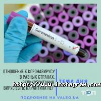 відгуки про Валео фото